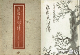 藤田東湖伝
