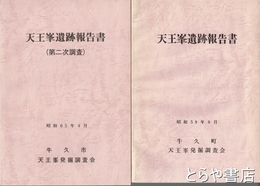 天王峯遺跡報告書　１・２次