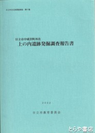 上の内遺跡発掘調査報告書
