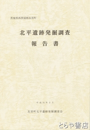 北平遺跡発掘調査報告書