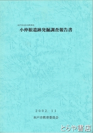 小仲根遺跡発掘調査報告書