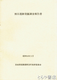 割目遺跡発掘調査報告書