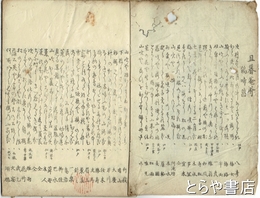 鵑啼菖
