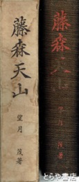 藤森天山