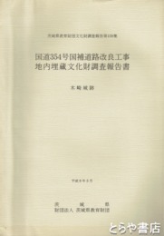 木崎城跡　茨城県教育財団文化財調査報告１０９　国道３５４号国補道路改良工事地内