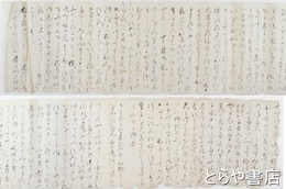 水戸藩第七代藩主徳川治紀の病より臨終瑞竜葬送のこと　長文１５６行　２２５×１５センチ