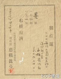 種痘証