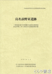 島名前野東遺跡　茨城県教育財団文化財調査報告４４９集