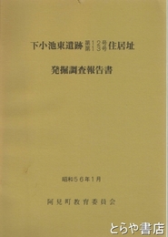 下小池遺跡第１２号第１３号住居址発掘調査報告書