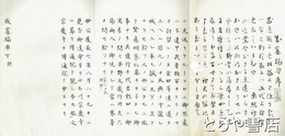 成憲摘要　上・下　合本