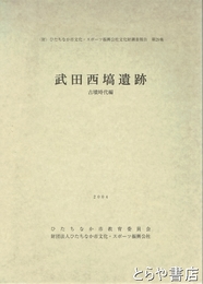 武田西塙遺跡　古墳時代編