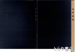 大洋村史