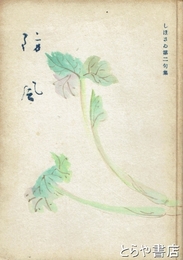防風　しほさい第二句集