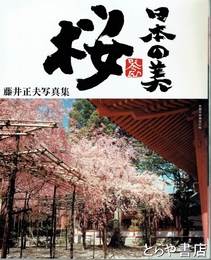 日本の美　桜