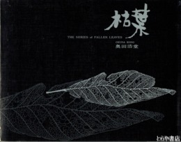 枯葉