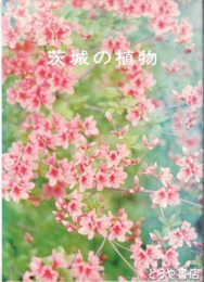 茨城の植物
