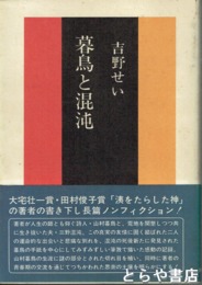 暮鳥と混沌