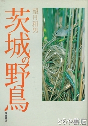 茨城の野鳥