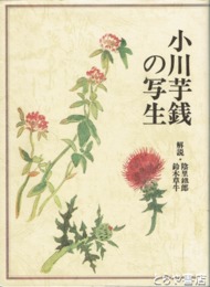 小川芋銭の写生