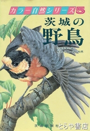 茨城の野鳥