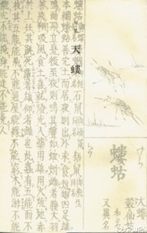 句集　天螻
