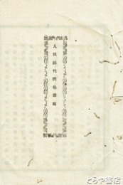 人民総代撰挙章程
