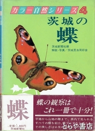 茨城の蝶