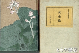 黄金虫