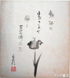 江見水蔭画句色紙　「勲功の家の子や佩く菖蒲かな」