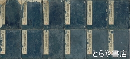 新編類字箋解　巻一～巻九　全１２冊