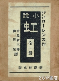 小説　虹