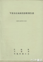 下妻市広域商業診断報告書