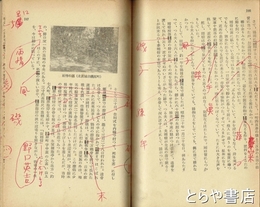 野口雨情