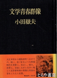 文学青春群像