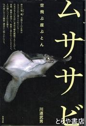 ムササビ　　空飛ぶ座ぶとん