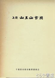 上総山王山古墳