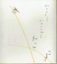 神保朋世色紙　「わするることわすられぬこと秋のゆく」　蜻蛉図