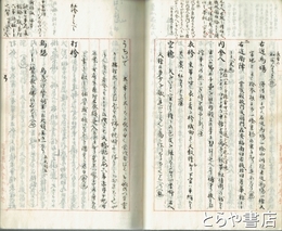 読史掌故