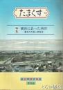 たますく　５号　特集　横浜にあった西洋　幕末の外国人居留地
