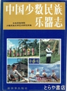 中国少数民族楽器志　中文書