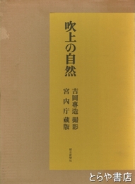吹上の自然