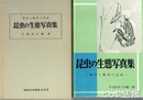 昆虫の生態写真集　飼育と観察の記録