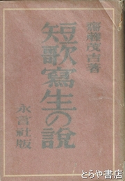 短歌写生の説