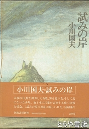 試みの岸