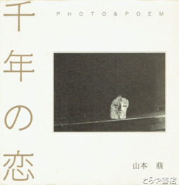 千年の恋