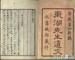 東湖先生遺文