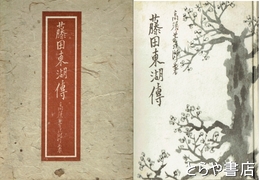 藤田東湖伝