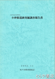 小仲根遺跡発掘調査報告書