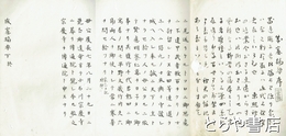 成憲摘要　上・下　合本