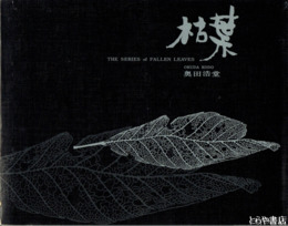 枯葉